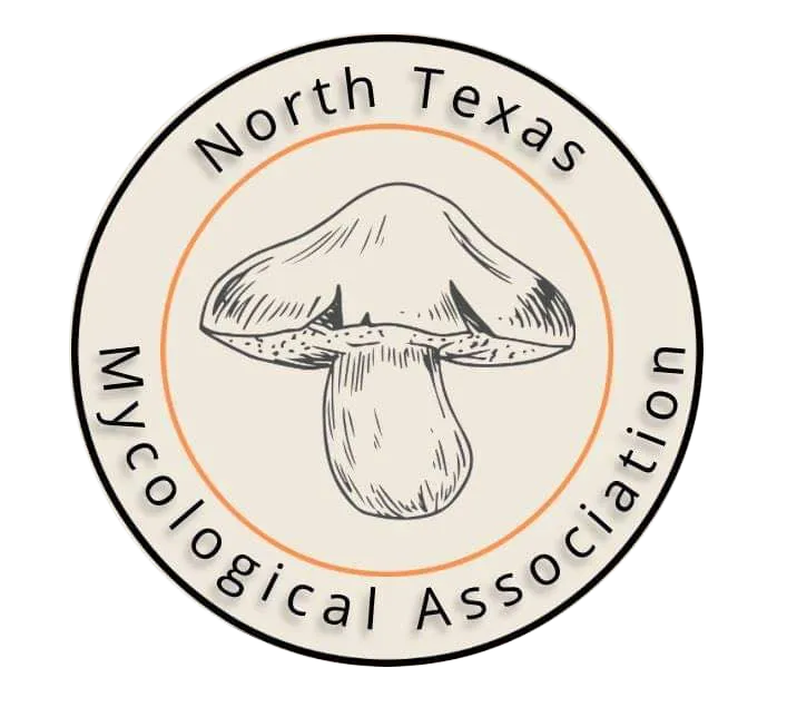 The Texas Star: The State Mushroom of Texas Chorioactis geaster