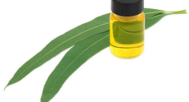 9 Amazing Eucalyptus Oil Benefits - How to Use Eucalyptus Oil