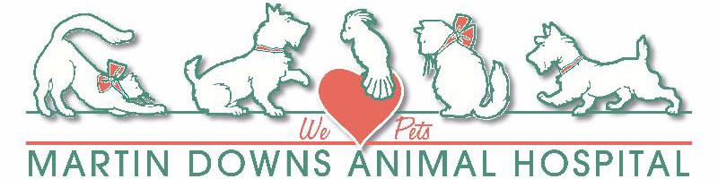 Robin Waters-Poderski, DVM - Relief Veterinarian - Various Veterinary  Hospitals in Florida | LinkedIn