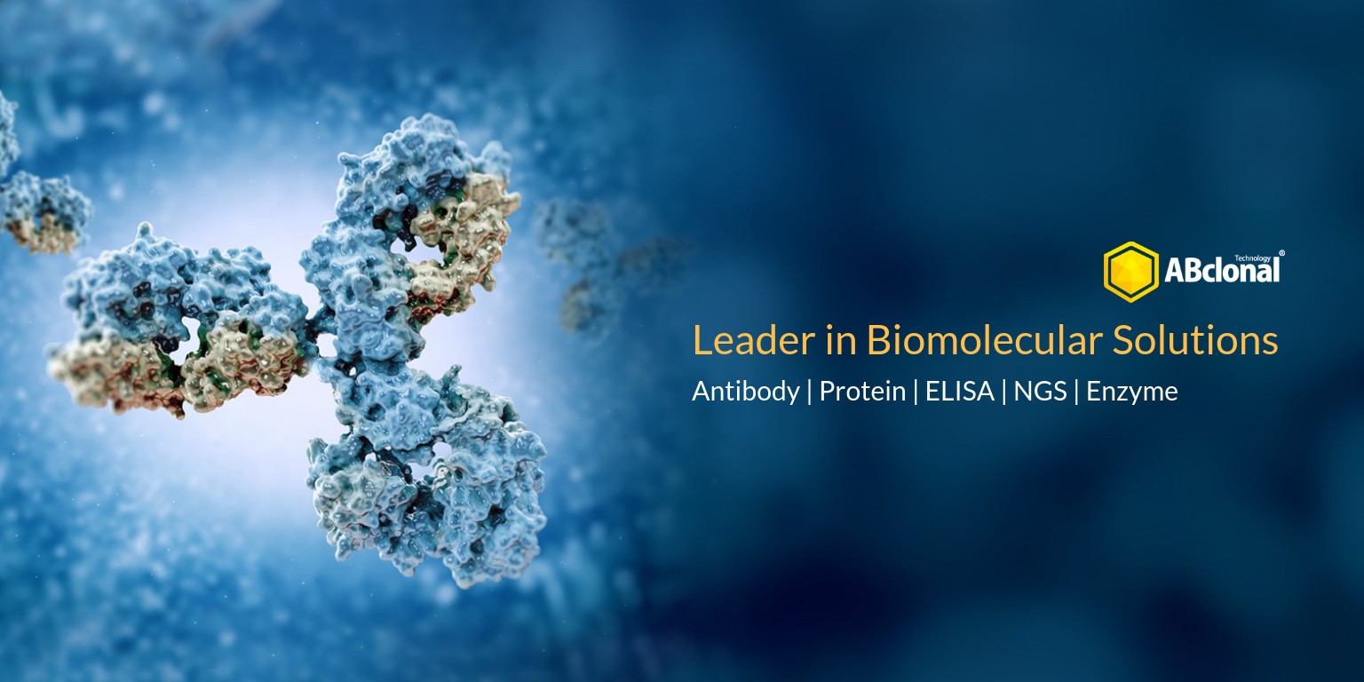 「abclonal」的圖片搜尋結果