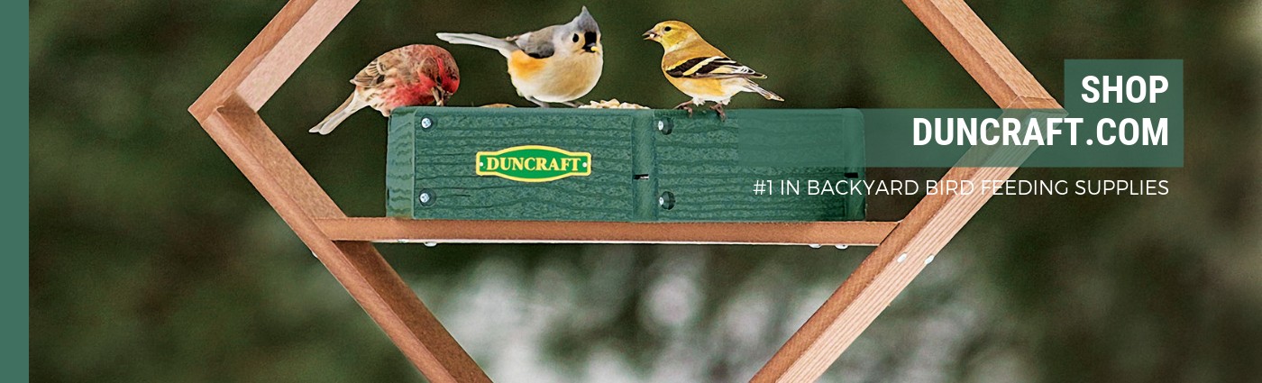 Duncraft Wild Bird Superstore Linkedin