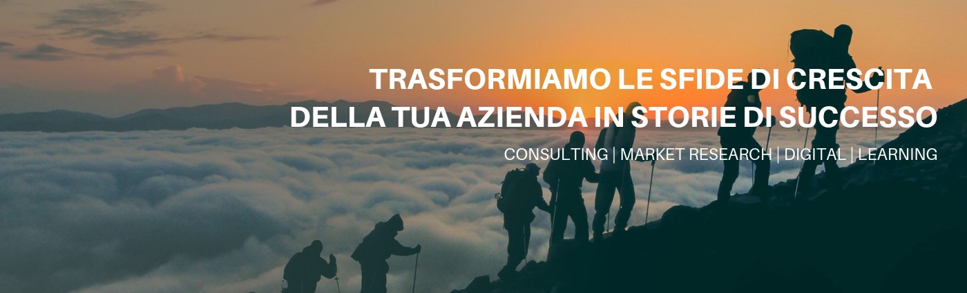 Bizup Consulting Business Growth Advisors Linkedin