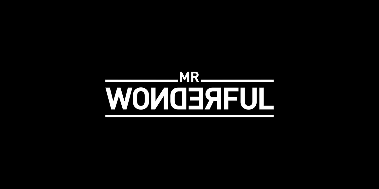 MR WONDERFUL