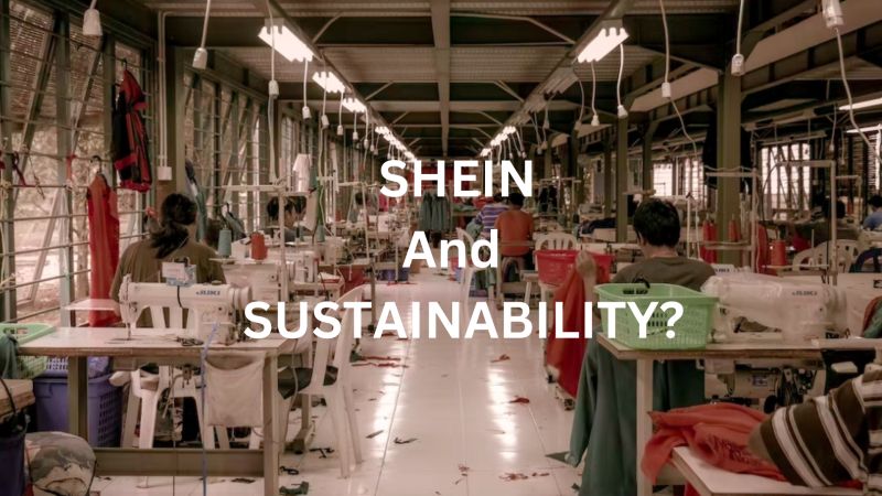 Joachim Hensch Consulting on LinkedIn: #shein #sustainability