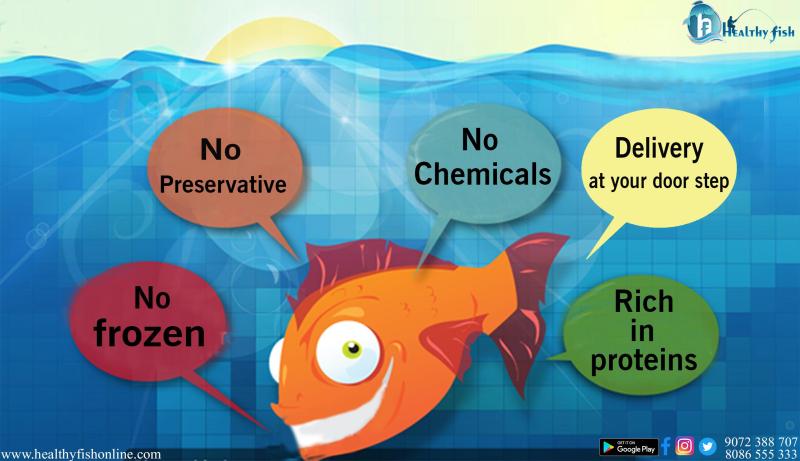 Healthy Fish - Marketing - SYMPAN TRADERS PRIVATE LIMITED | LinkedIn