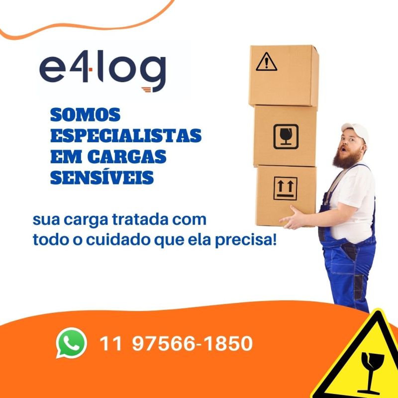e4 Log Soluções em Logística - Itatiba, São Paulo, Brasil, Perfil  profissional