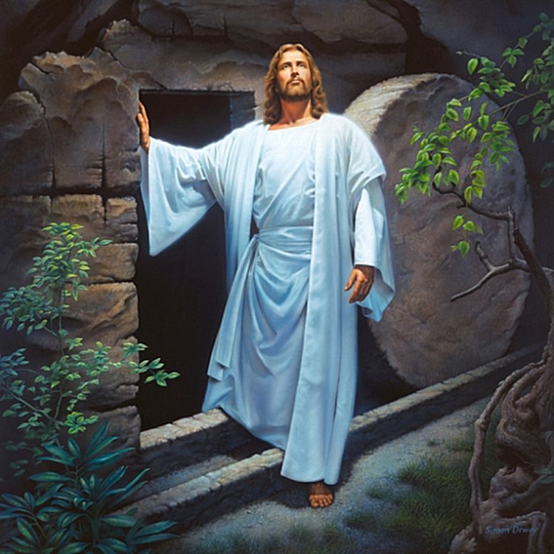 Chris Harbus on LinkedIn: He is risen! Jesus Christ is Lord!
