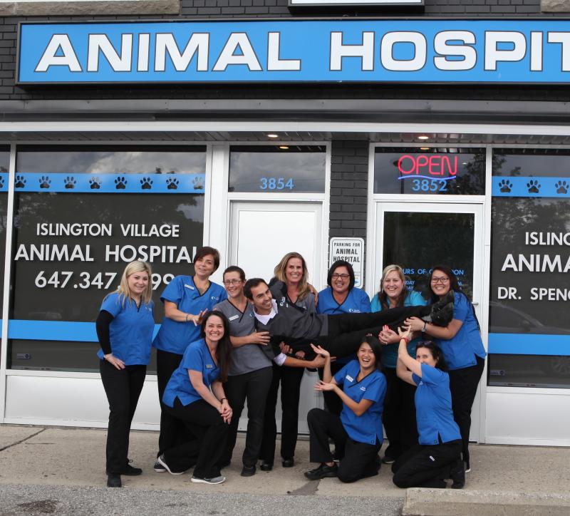 Erin Spence - Owner - Islington Village Animal Hospital | LinkedIn