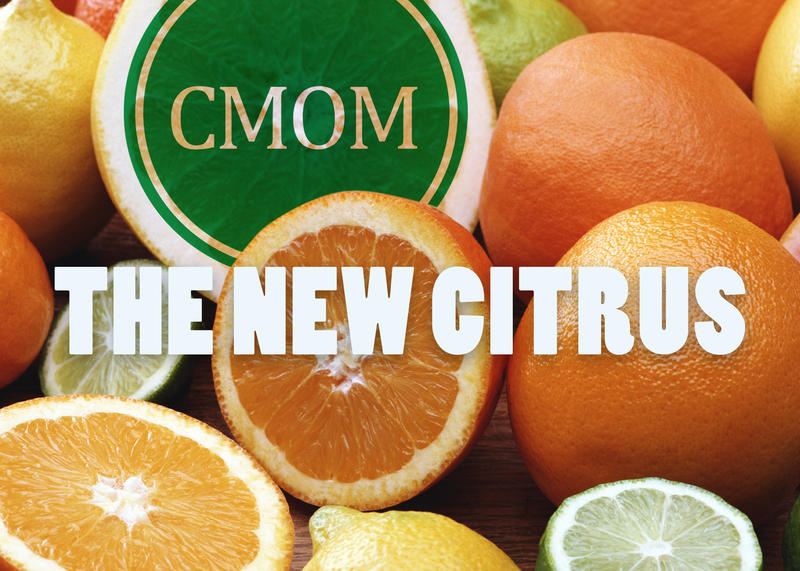 Tracy Taylor on LinkedIn: Certified Medical Office Manager (CMOM) Tracy Taylor on LinkedIn: Certified Medical Office Manager (CMOM)