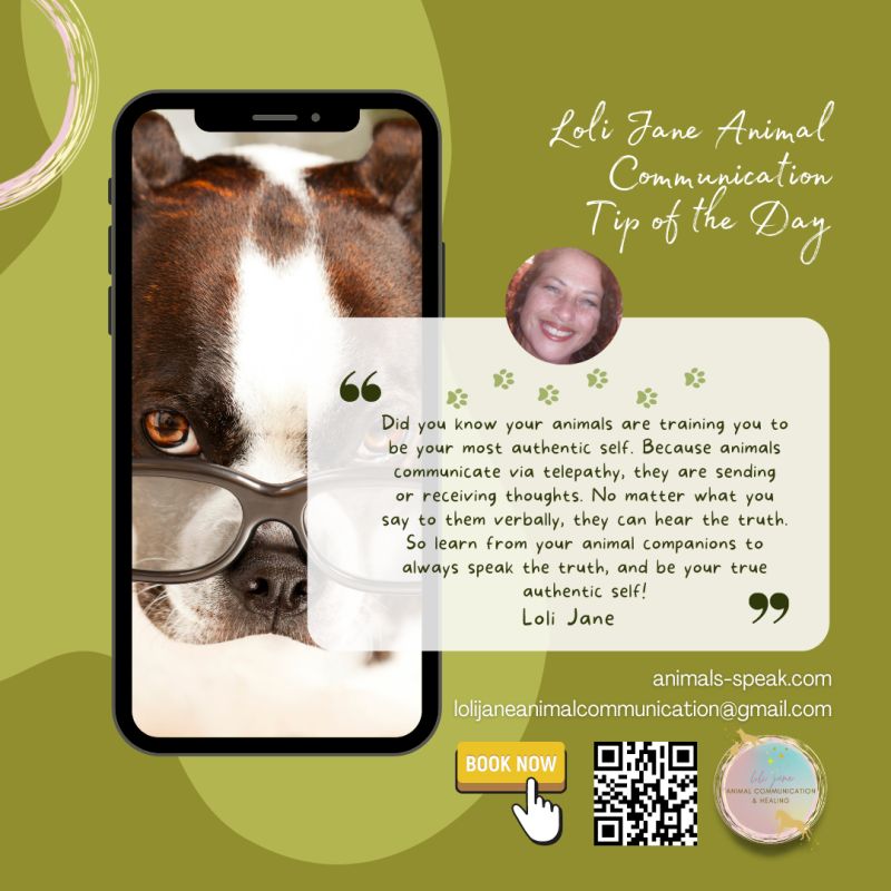 Loli J. - Animal Communicator - Loli Jane Animal Communication | LinkedIn