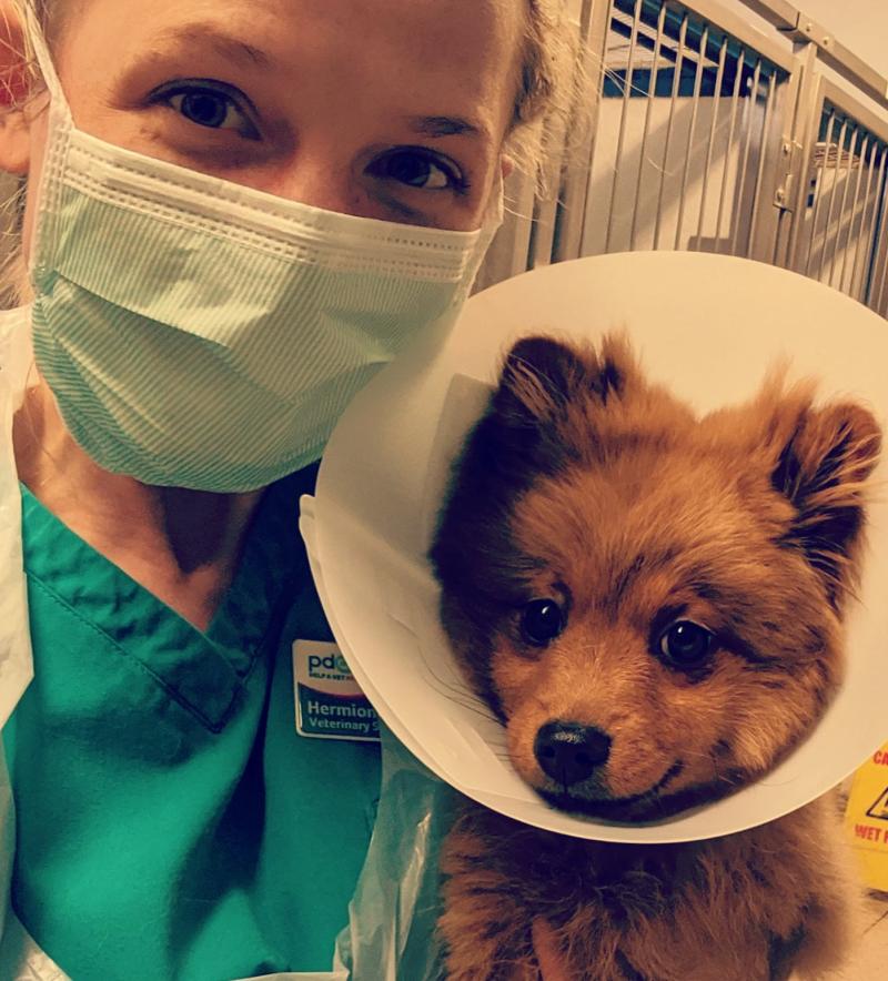 Cameron Docherty - Veterinarian - 9th Avenue Veterinary Clinic. | LinkedIn