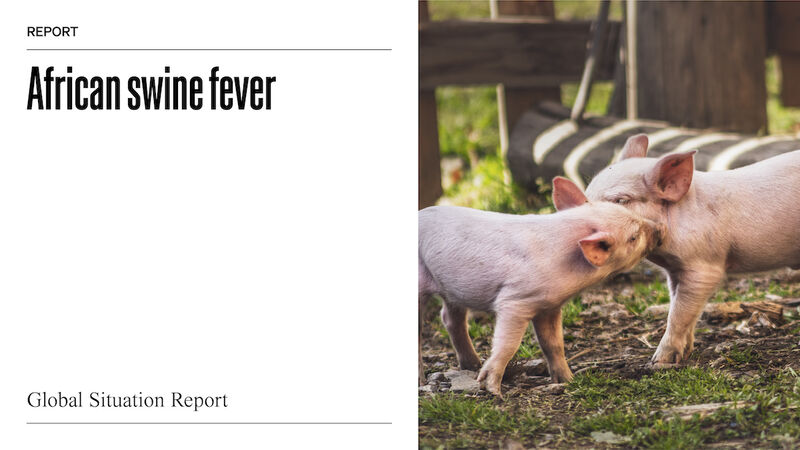 World Organisation for Animal Health on LinkedIn: African swine fever (ASF)  – Situation report 23 - WOAH - World…