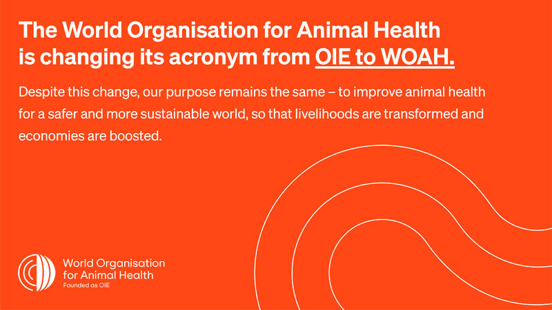 Olafur Valsson on LinkedIn: Who we are - WOAH - World Organisation for Animal  Health