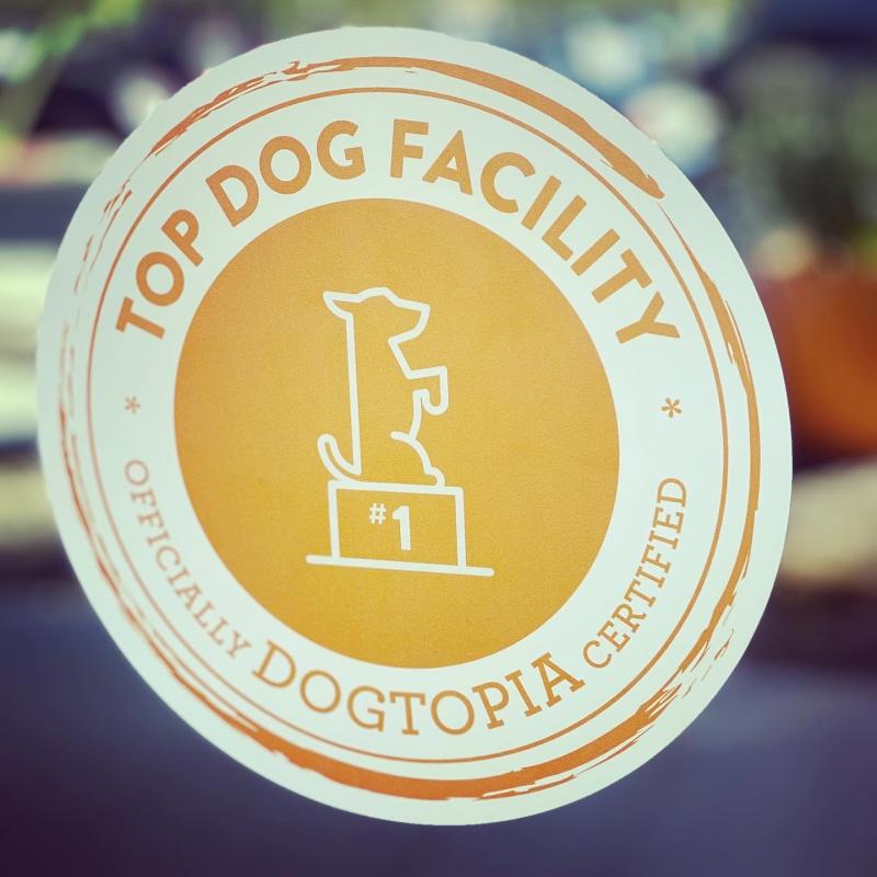 Michael Perlman on LinkedIn: #certification #ourteam #soproud # Michael Perlman on LinkedIn: #certification #ourteam #soproud #