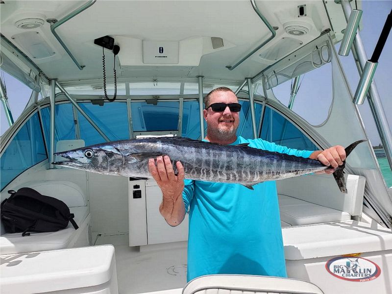 Yustas Fortuna on LinkedIn: Wahoo Fishing charters in Punta Cana. The  fishing boat…