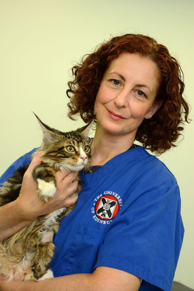 Karen Fong - Veterinary Surgeon - Animal House Veterinary Surgery | LinkedIn
