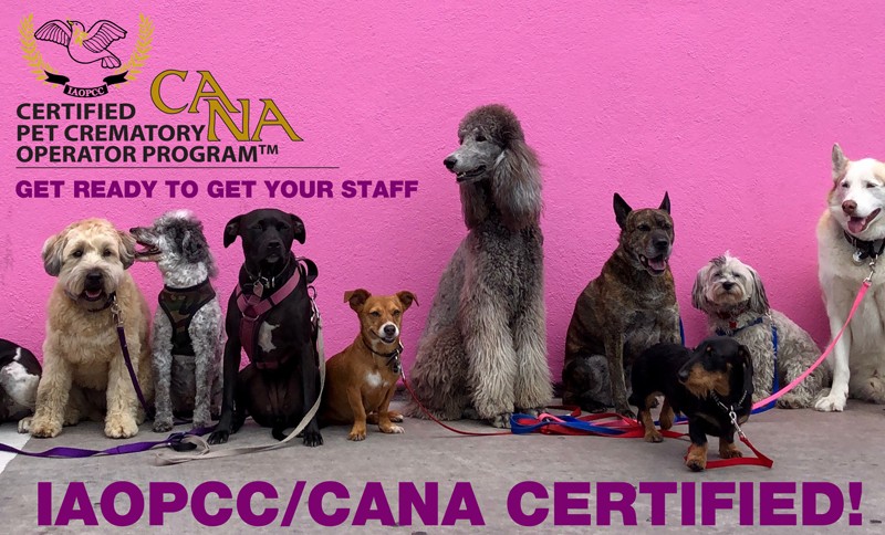 Cremation Association of North America on LinkedIn: NEW Pet Crematory Cremation Association of North America on LinkedIn: NEW Pet Crematory