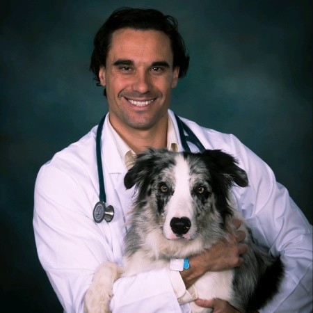 Christoff Saaiman - Associate Veterinarian - VCA Mission Animal and Bird  Hospital | LinkedIn