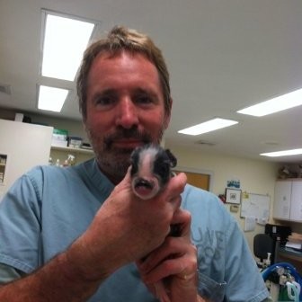 Andrew Dunn - Veterinarian - Westlake Animal Hospital | LinkedIn