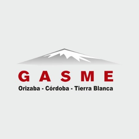  Nissan Gasme Automotriz - Mercadotecnia - GASME Automotriz S.A. de C.V. |  LinkedIn