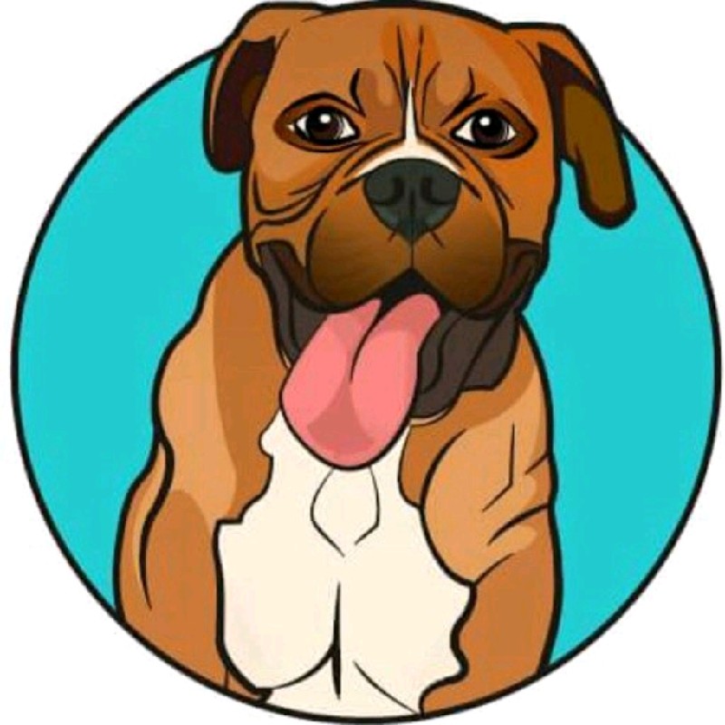 Barking Mad Melbourne - dog shop - Barking Mad dog grooming & supplies |  LinkedIn