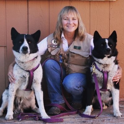Carrie Hunt - Human-Bear Conflict and Wildlife Service Dog Specialist - Wind  River Bear Institute | LinkedIn