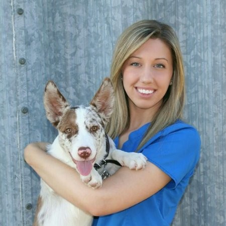 Caitlin Milburn - Office Administrator & Retail Manager - Ardmore Animal  Hospital | LinkedIn