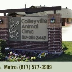 Colleyville Animal Clinic - Dr. Mark Wilson - Colleyville Animal Clinic |  LinkedIn
