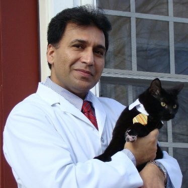 Sudesh Kumar - Owner, Veterinarian - Guilford Animal Medical Center   | LinkedIn