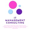 Information Technology Management Consulting