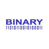 Binary investments global limited
