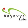 Vayavya Labs Pvt. Ltd.