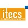 IT & EBusiness Consulting Services, Inc.