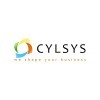 Cylsys Software Solution Pvt Ltd.