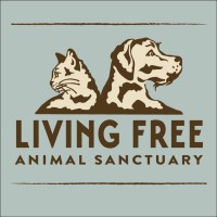 Living Free Animal Sanctuary | LinkedIn