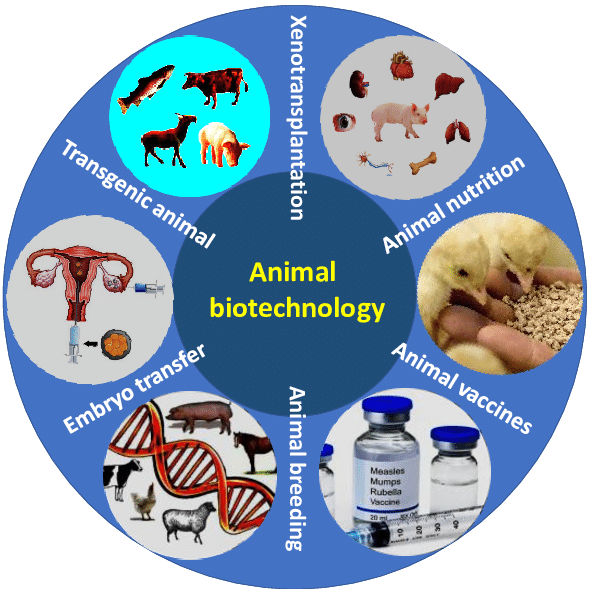 ANIMAL BIOTECHNOLOGY MARKET GROWTH, TRENDS, AND FORECAST (2020 2025)