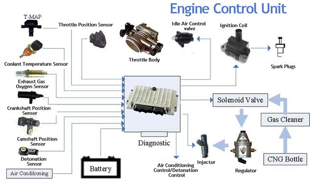 Electronic Control Unit in EVs