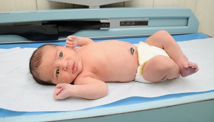Knowing all there is to know about the umbilical cord