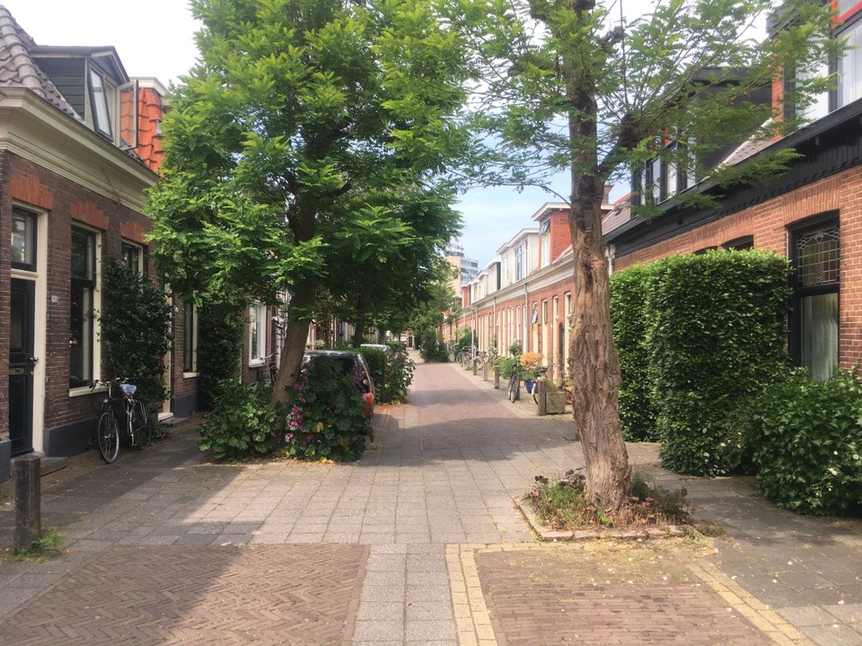 What Is a Woonerf? Creating Inclusive and Livable Streets, the Dutch Way