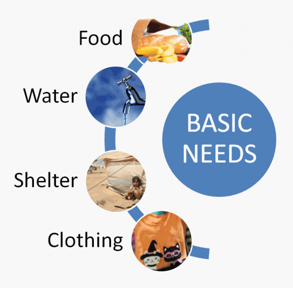 Basic needs of the citizens are the state's primary mandate.