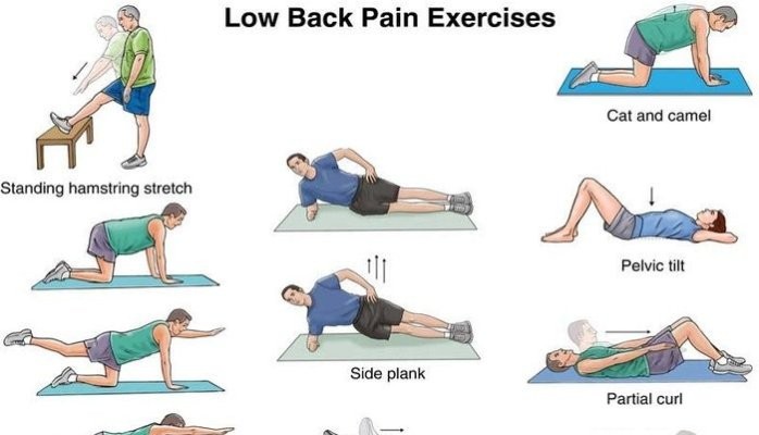 Best Exercises for a Good Back