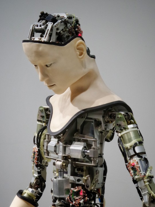 Humanoids or a Highly Intelligent RoBot who simply know what to do?when to do?how to do? 