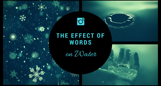 THE EFFECT OF WORDS ON WATER