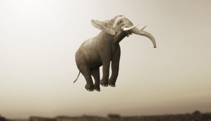 Making elephants jump