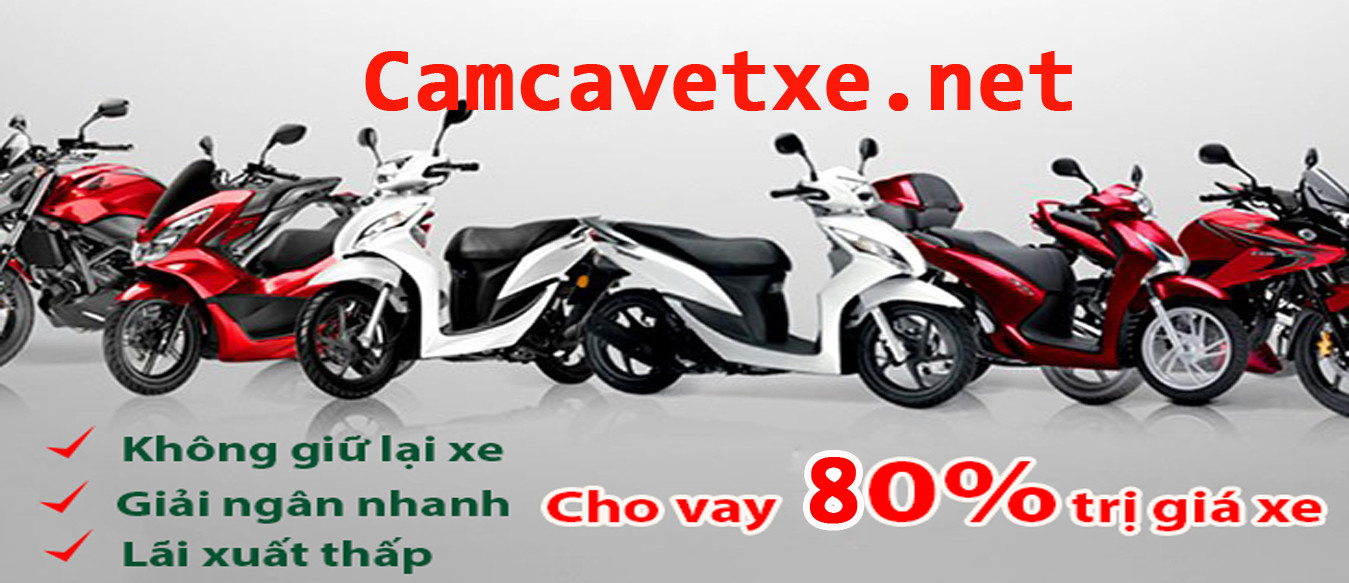 Dịch vụ cầm cavet xe 80% giá trị xe