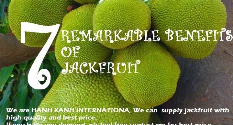 7 Remarkable Benefits And Uses Of Jackfruit