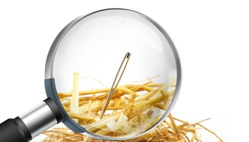 Finding Your Dream Needle in the Career Haystack