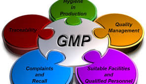 Why Good Manufacturing Practice (GMP) is so important