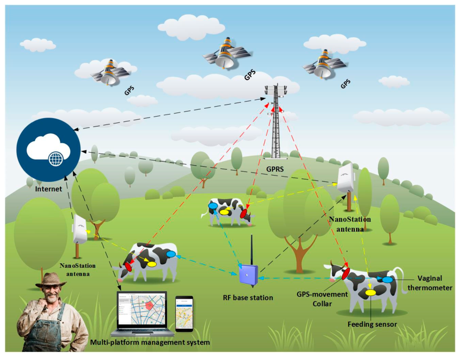 Wireless Sensor Networks - WSN