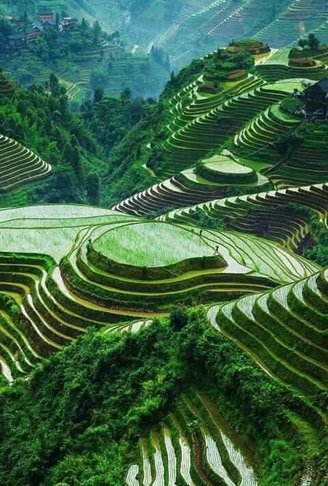 THE RICE TERRACES OF BANAUE - PHILIPPINES